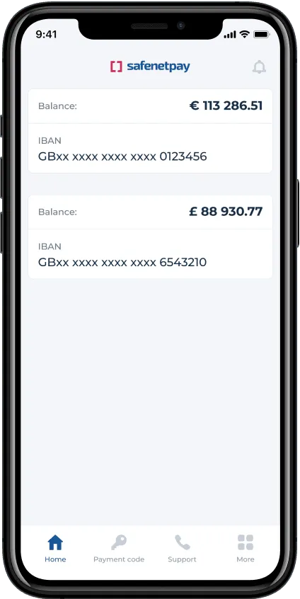 06home-screen-safenetpya-app.png